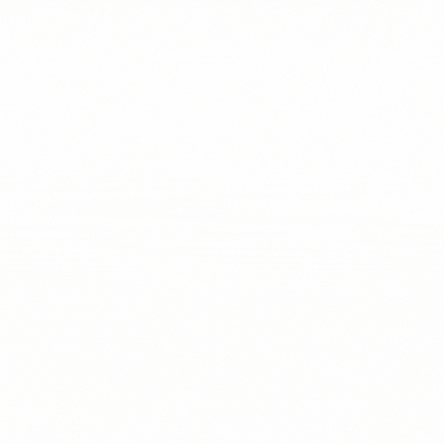 this slowpoke moves