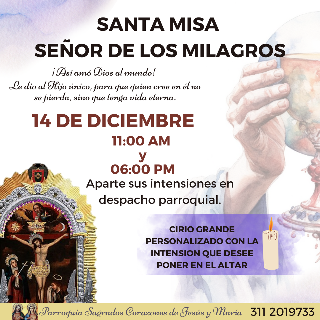 SR DE LOS MILAGROS