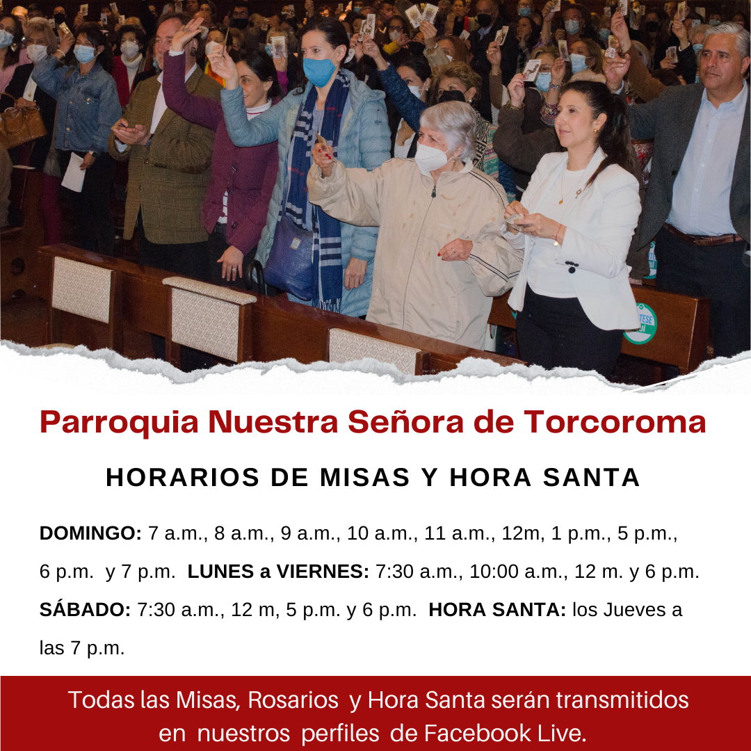 Horario misas SDS