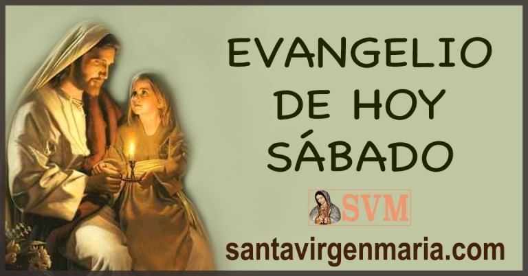 evangelio del dia