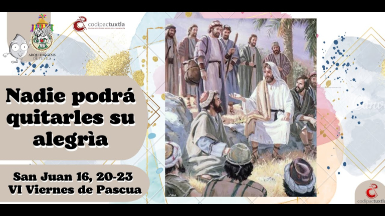 evangelio del dia