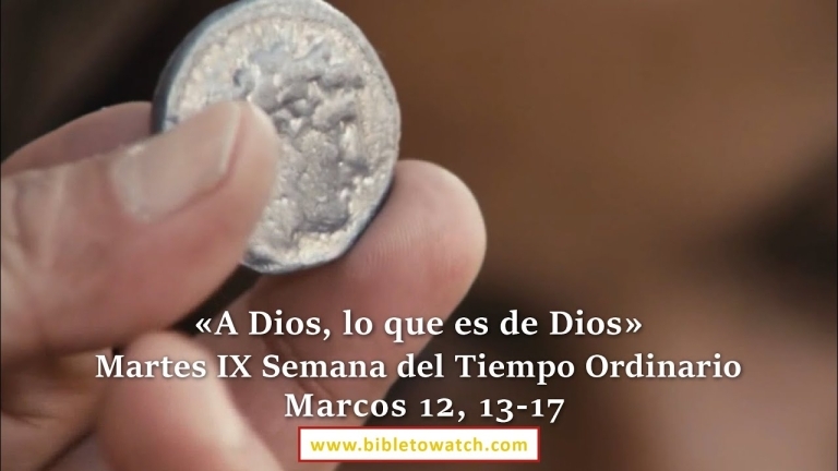 evangelio del dia