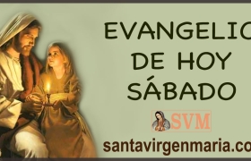 evangelio del dia