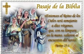 evangelio del dia